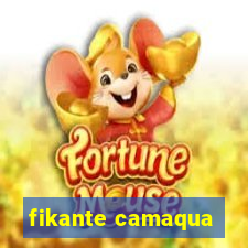 fikante camaqua