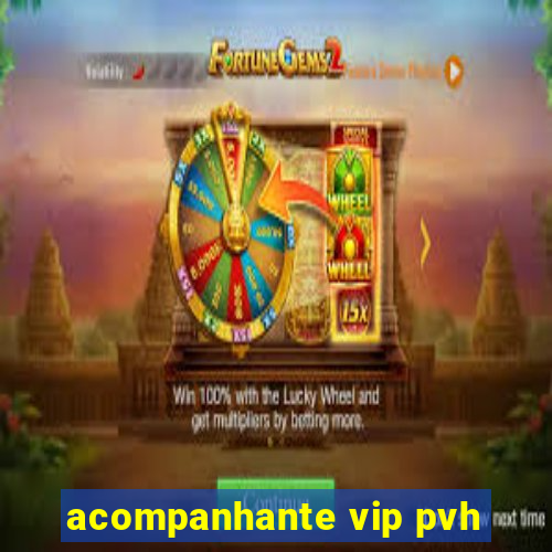 acompanhante vip pvh