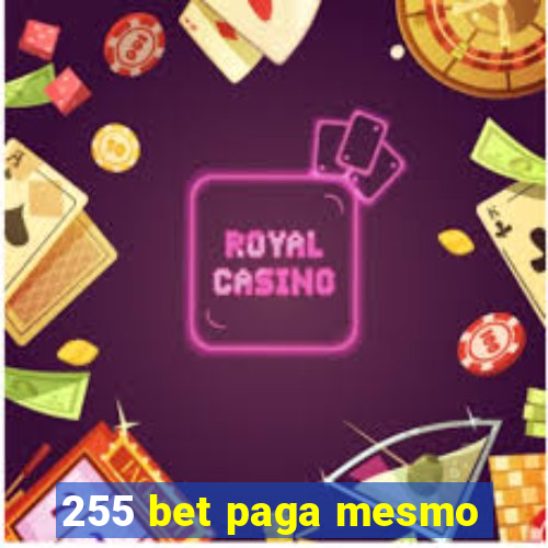 255 bet paga mesmo